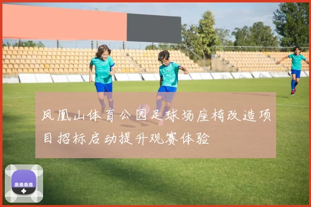 凤凰山体育公园足球场座椅改造项目招标启动提升观赛体验