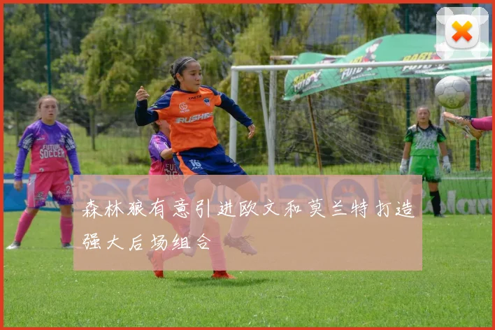森林狼有意引进欧文和莫兰特打造强大后场组合